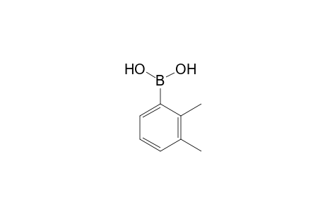 2,3-Dimethylbenzeneboronic acid