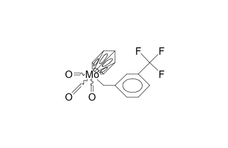 (3-Trifluoromethyl-benzyl)-tricarbonyl.eta./5/-cyclopentadienyl-molybdenum(ii)