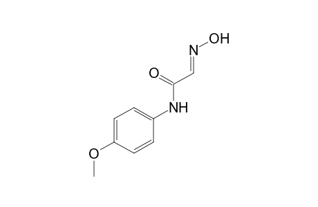 p-GLYOXYLANISIDIDE, 2-OXIME