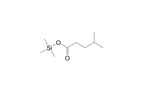 Pentanoic acid <4-methyl->, mono-TMS