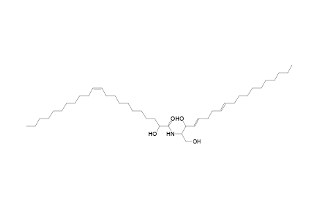 Cer 19:2;2O/22:1;(2OH)