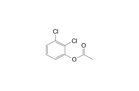 2,3-Dichlorophenyl acetate