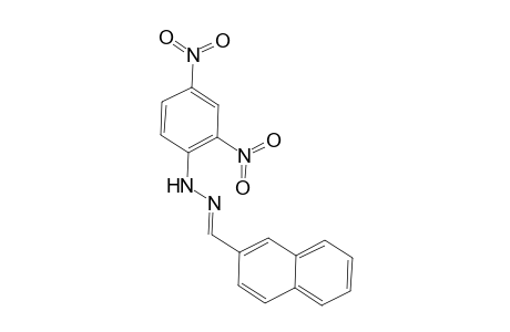 2-Naphthaldehyde, (2,4-dinitrophenyl)hydrazone