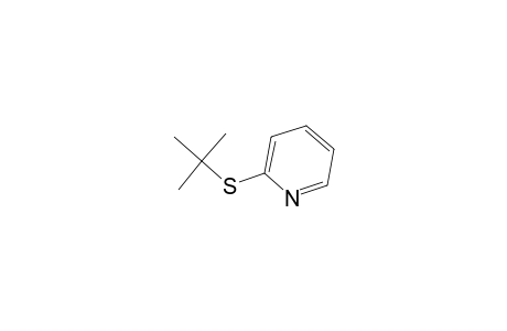 2-(tert-BUTYLTHIO)PYRIDINE