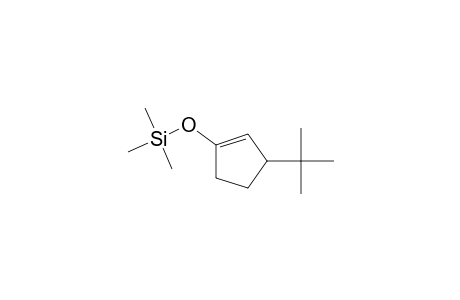 3-tert-Butyl-1-((trimethylsilyl)oxy)-1-cyclopentene