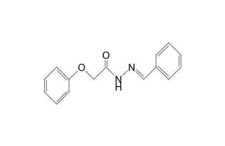 Acetic acid, phenoxy-, (phenylmethylene)hydrazide