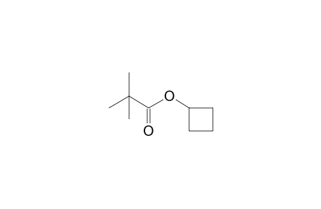 2,2-Dimethylpropanoic acid cyclobutyl ester