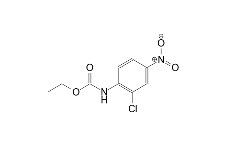 2-chloro-4-nitrocarbanilic acid, ethyl ester