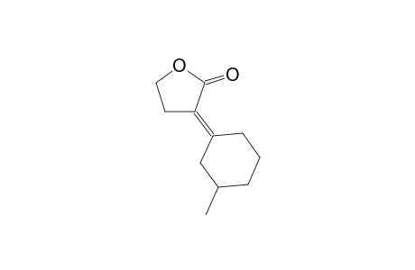 2-(3'-methylccyclohexylidene)butyrolactone