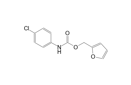 p-chlorocarbanilic acid, furfuryl ester