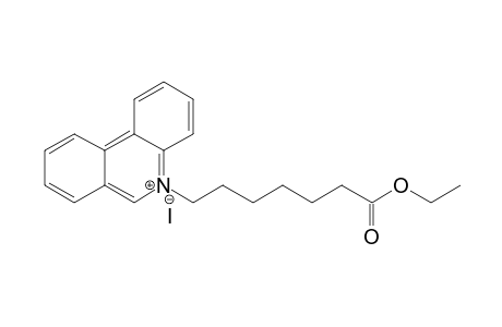 N-[6-(Ethoxycarbonyl)hexyl]phenanthridinium iodide