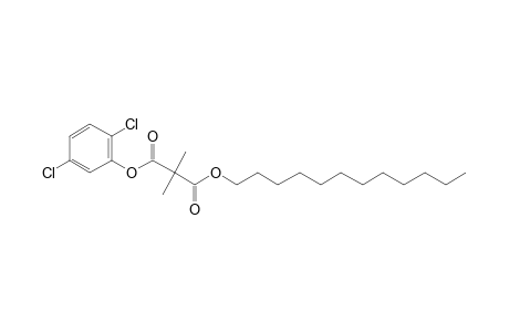 Dimethylmalonic acid, 2,5-dichlorophenyl dodecyl ester