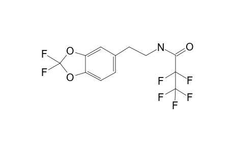 DFMDP PFP