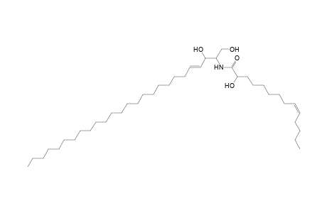 Cer 26:1;2O/14:1;(2OH)