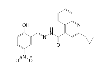 2-cyclopropyl-N'-[(E)-(2-hydroxy-5-nitrophenyl)methylidene]-4-quinolinecarbohydrazide