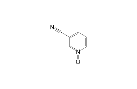 3-CYANO-PYRIDINE-1-OXIDE