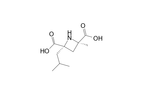 (+)-MONASCUMIC-ACID;(+)-SYN-2-ISOBUTYL-4-METHYLAZETIDINE-2,4-DICARBOXYLIC-ACID