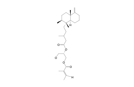 Archidorin