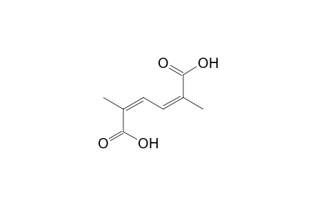 cis,cis-2,5-DIMETHYL-2,4-HEXADIENEDIOIC ACID