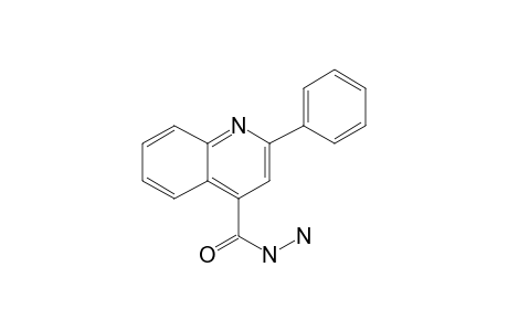 2-Phenyl-4-quinolinecarbohydrazide