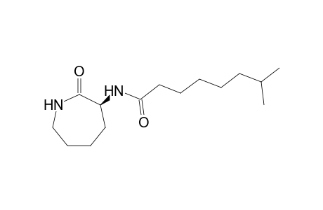 7-Methyl-N-(2-oxidanylideneazepan-3-yl)octanamide