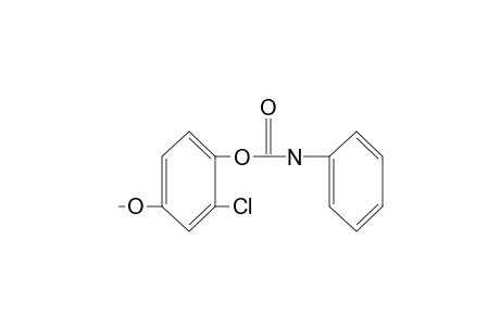 2-chloro-4-methoxyphenol, carbanilate