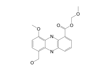 METHOXYMETHYL_GRISEOLUTEIC_ACID