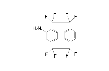 4-AMINO-1,1,2,2,9,9,10,10-OCTAFLUOROPARACYCLOPHANE
