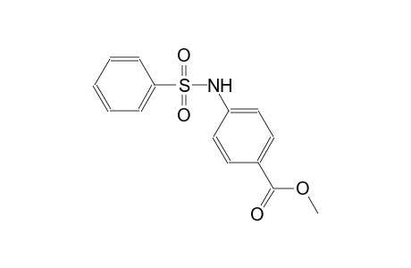 methyl 4-[(phenylsulfonyl)amino]benzoate