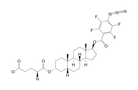 5-BETA-ANDROSTANE-3-ALPHA,17-BETA-DIYL-17-(4-AZIDOTETRAFLUOROBENZOATE)-3-(L-GLUTAMATE)