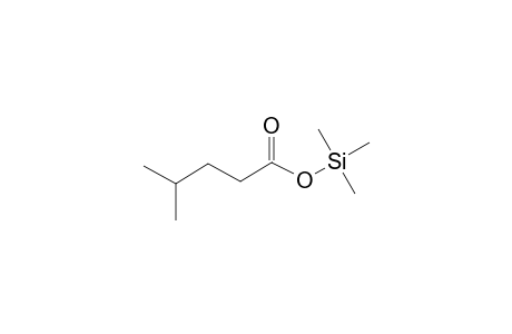 Pentanoic acid <4-methyl->, mono-TMS