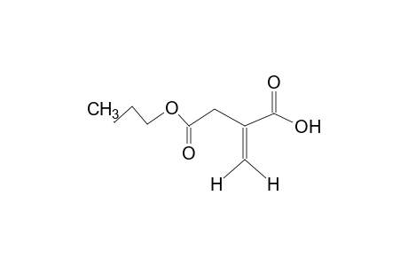 methylenesuccinic acid, 4-butyl ester