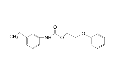 m-ethylcarbanilic acid, 2-phenoxyethyl ester