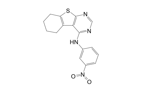 N-(3-Nitrophenyl)-5,6,7,8-tetrahydro[1]benzothieno[2,3-d]pyrimidin-4-amine