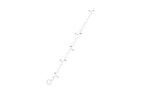 11-{6-{6-[6-(CARBOXYAMINO)HEXANAMIDO]HEXANAMIDO]HEXANAMIDO}UNDECANOIC ACID, BENZYL 1-METHYL ESTER