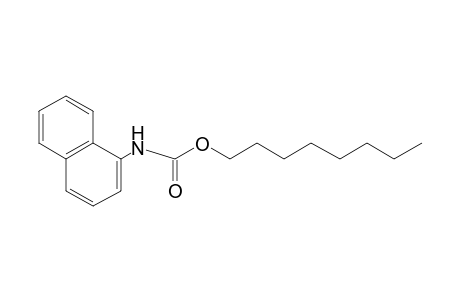 1-naphthalenecarbamic acid, octyl ester