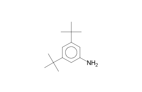 3,5-Di-tert-butylaniline