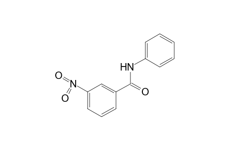3-nitrobenzanilide