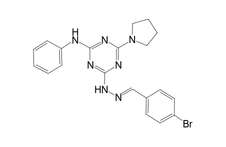 Benzaldehyde, 4-bromo-, [4-(phenylamino)-6-(1-pyrrolidinyl)-1,3,5-triazin-2-yl]hydrazone