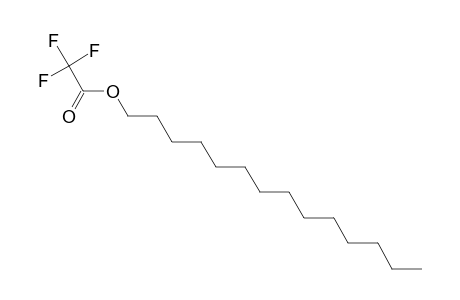 trifluoroacetic acid, tetradecyl ester