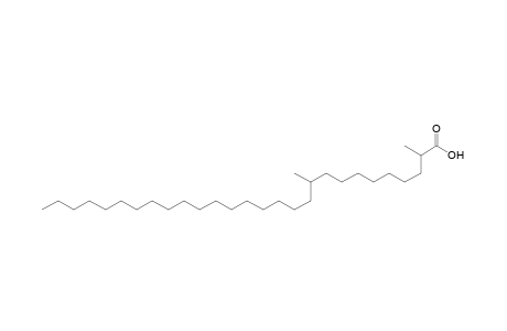 2,10-Dimethyloctacosanoic acid