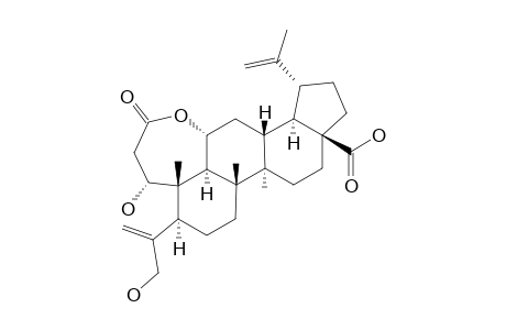 24-HYDROXYCHIISANOGENIN;1R-1-ALPHA,11-ALPHA,24-TRIHYDROXY-3,4-SECO-LUPA-4(23),20(30)-DIEN-3,28-DIOIC-ACID-3,11-LACTONE