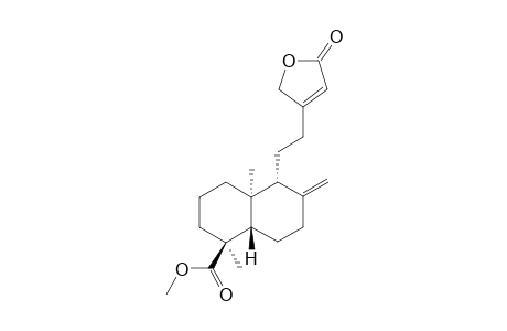 METHYL-ENT-LABDA-8(17),13-DIEN-18-OATE-15,16-OLIDE