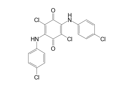 2,5-BIS(p-CHLOROANILINO)-3,6-DICHLORO-p-BENZOQUINONE