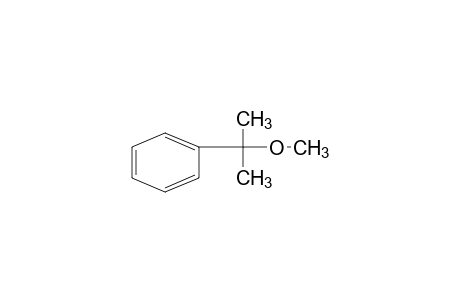 alpha,alpha-DIMETHYLBENZYL METHYL ETHER