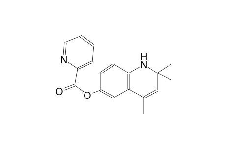 2-Pyridinecarboxylic acid, 1,2-dihydro-2,2,4-trimethyl-6-quinolinyl ester