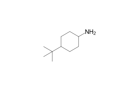 4-tert-Butylcyclohexylamine