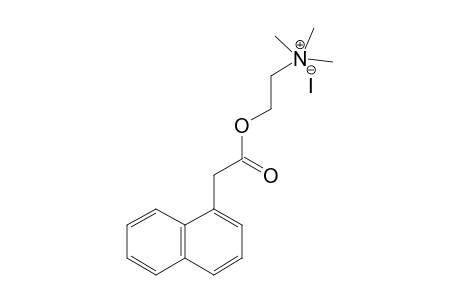 NAPHTHALENE-1-ACETYLCHOLINE