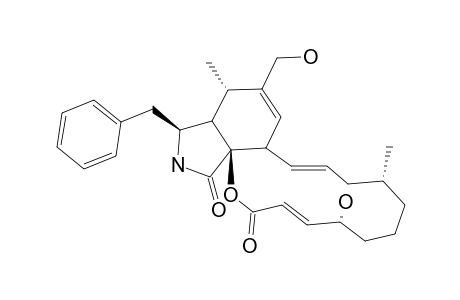 CYTOCHALASIN-Z2;(6Z,13E,16R,21E)-12,20-DIHYDROXY-16-METHYL-10-PHENYL-24-OXA-[14]-CYTOCHALASA-6(7),13,21-TRIENE-1,23-DIONE