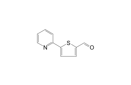 2-(2'-THIENYL)-PYRIDINE-5'-CARBALDEHYDE